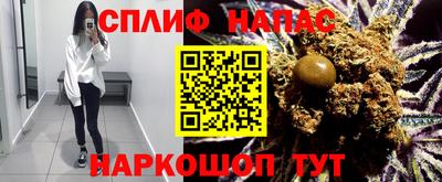 прущие грибы Гагарин